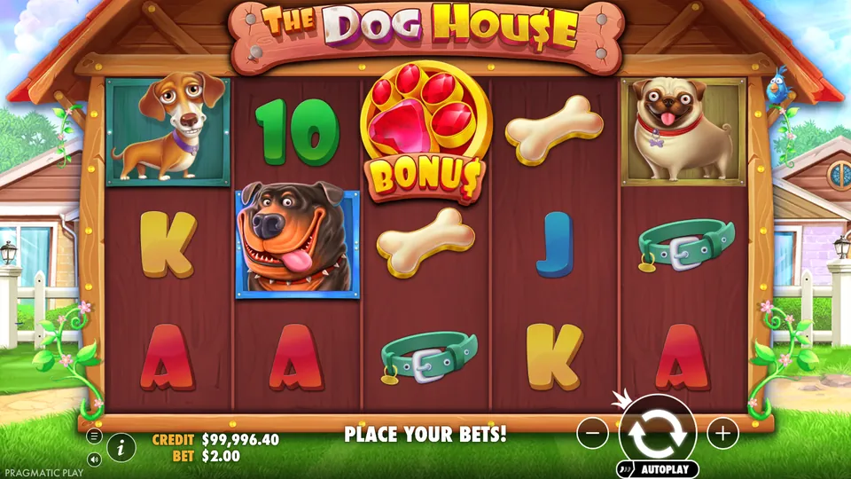 The Dog House demo in US dollars