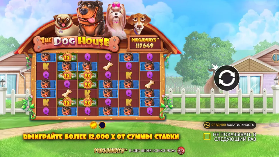 The Dog House Megaways игровое поле с шестью барабанами